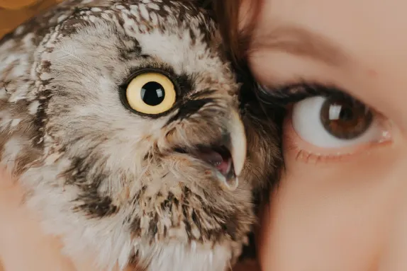 Casino Loco Win Kundeservice